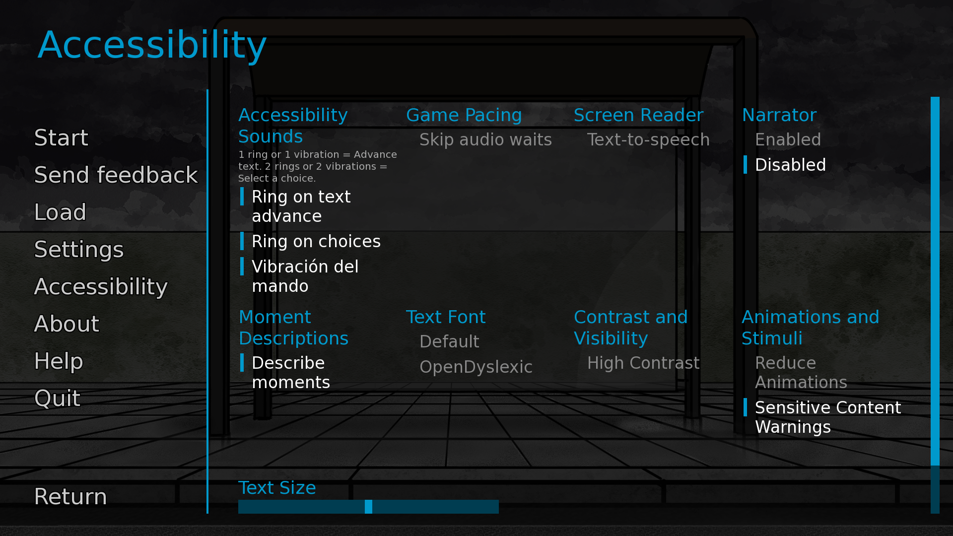 Accessibility settings screen